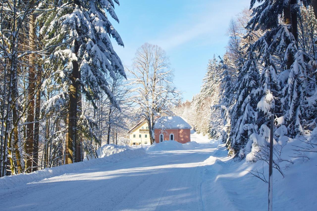 Forsthaus Apartment Holzschlag Экстерьер фото