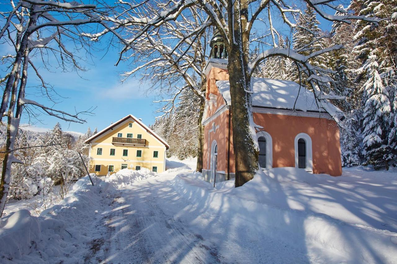 Forsthaus Apartment Holzschlag Экстерьер фото